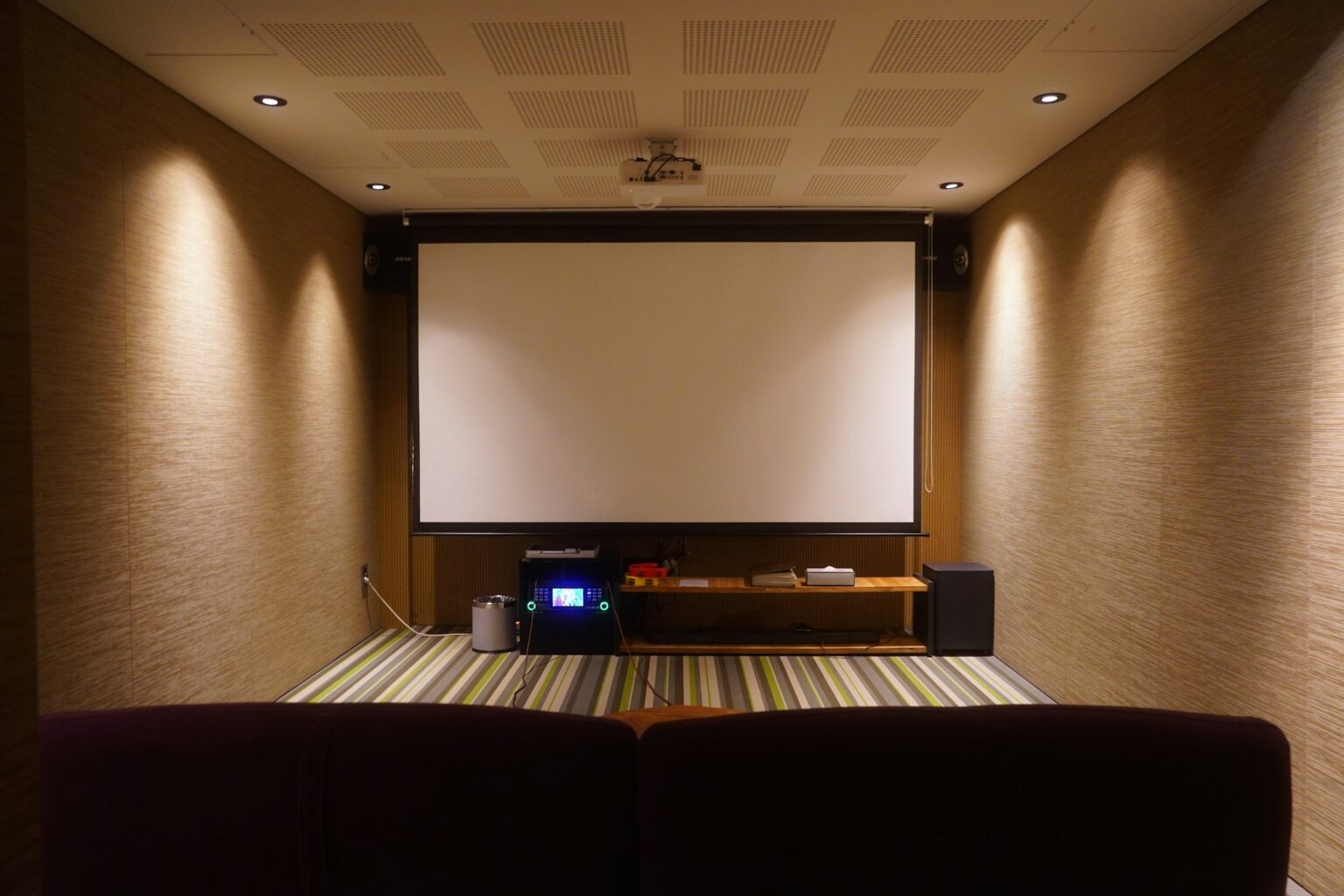 Private home cinema room